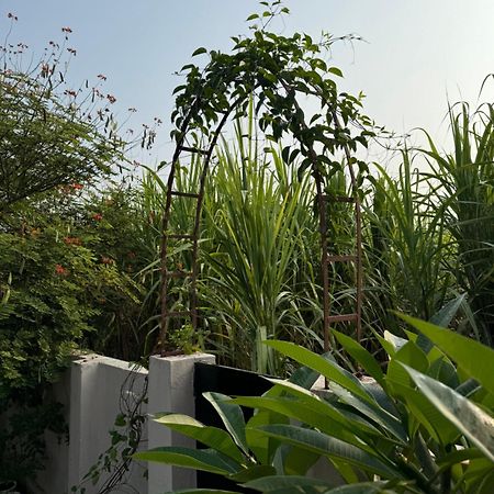 The Bougainvillea Cottage Farmstay Near Dehradun , 2 Bedroom Private Cottage Next To Fields And Orchards With Hill Views المظهر الخارجي الصورة