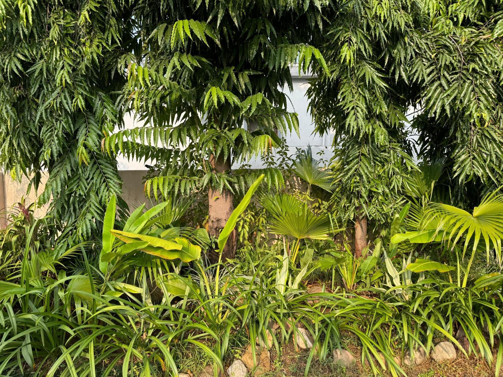 The Bougainvillea Cottage Farmstay Near Dehradun , 2 Bedroom Private Cottage Next To Fields And Orchards With Hill Views المظهر الخارجي الصورة