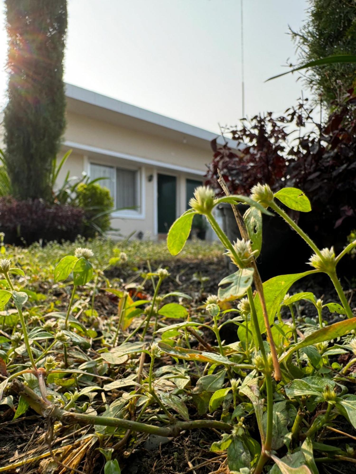 The Bougainvillea Cottage Farmstay Near Dehradun , 2 Bedroom Private Cottage Next To Fields And Orchards With Hill Views المظهر الخارجي الصورة